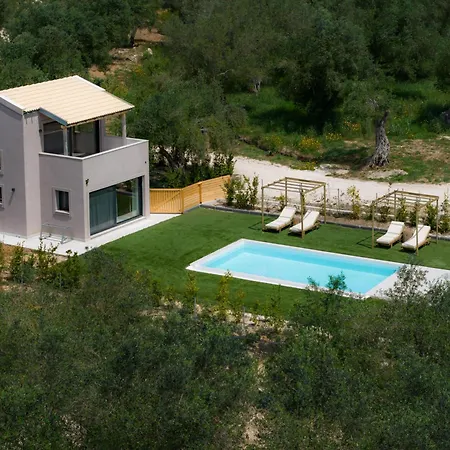 Villa Olive Trees