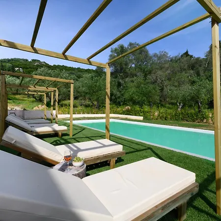 Olive Trees Villa